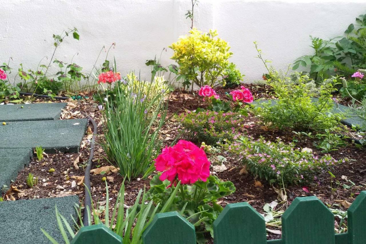 Sunny Orange Garden Apartment In Central ליסבון מראה חיצוני תמונה