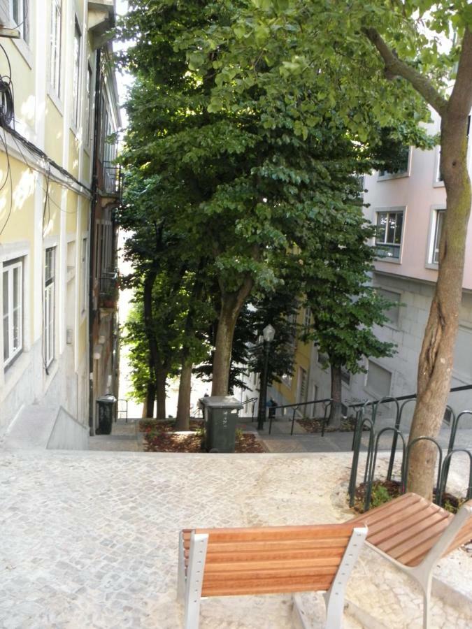 Sunny Orange Garden Apartment In Central ליסבון מראה חיצוני תמונה