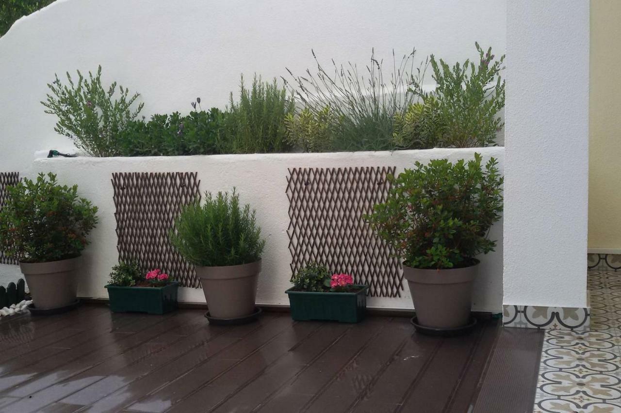 Sunny Orange Garden Apartment In Central ליסבון מראה חיצוני תמונה
