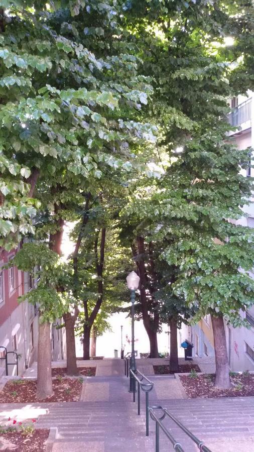 Sunny Orange Garden Apartment In Central ליסבון מראה חיצוני תמונה